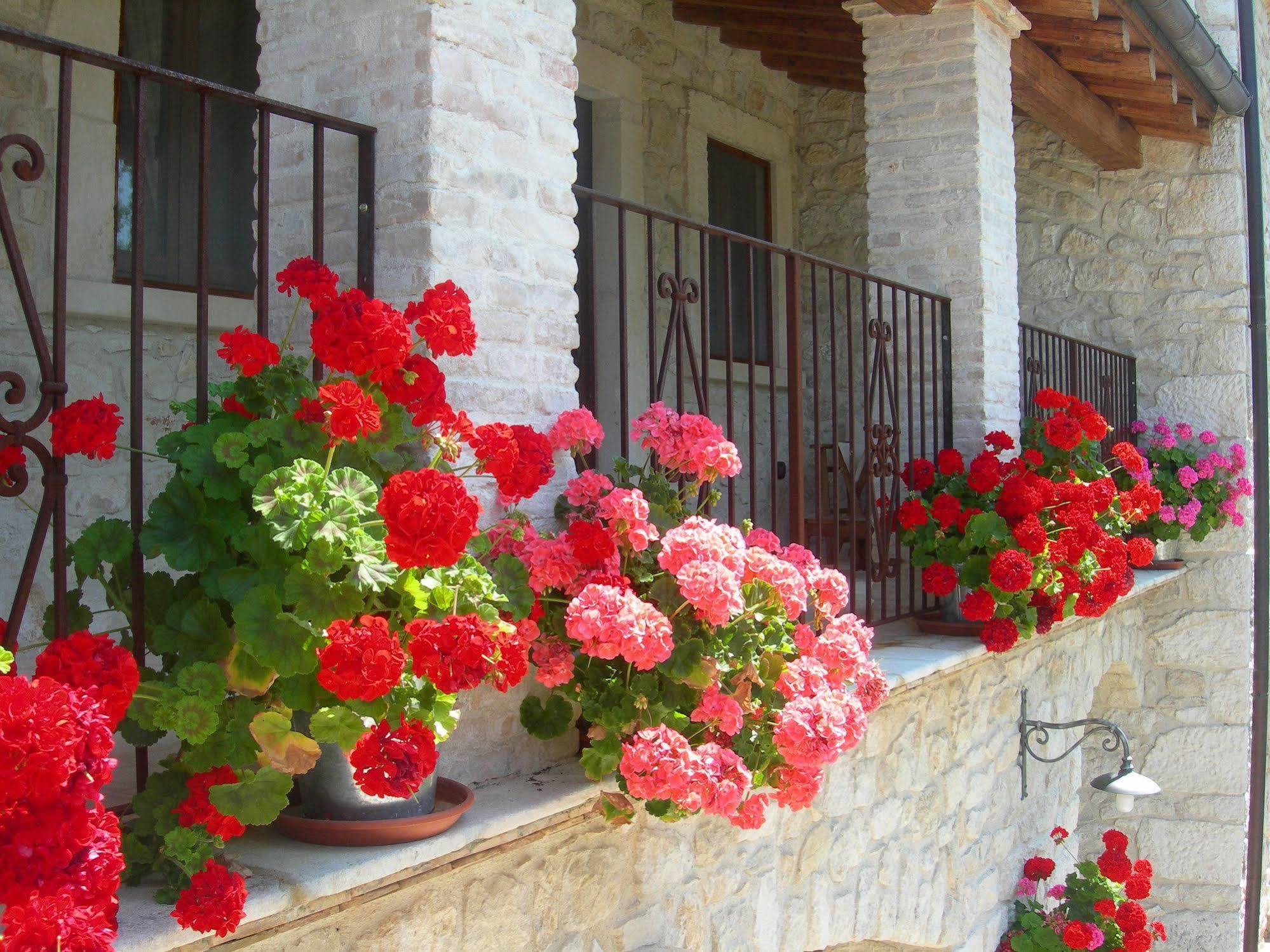 Agriturismo Borgo San Martino Abbateggio Exterior foto
